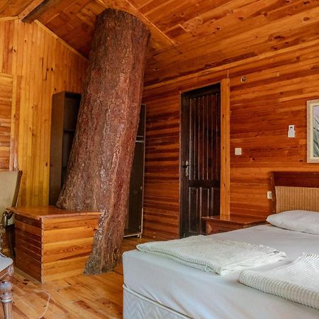 Kadir'S Top Tree Houses Olympos Exterior foto